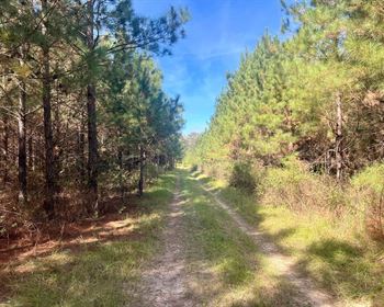 Alabama Farm Offers Hunting, Long-Term Investment Potential