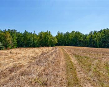 Turnkey Georgia Hunting Land with Creeks, Food Plots