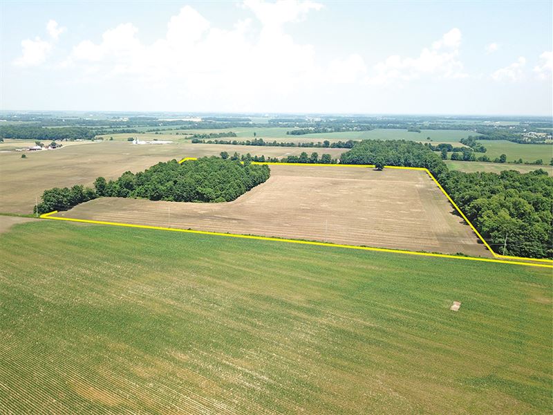 Highly Productive Land, Land for Sale in Ohio, #154492 : AUCTIONFLIP