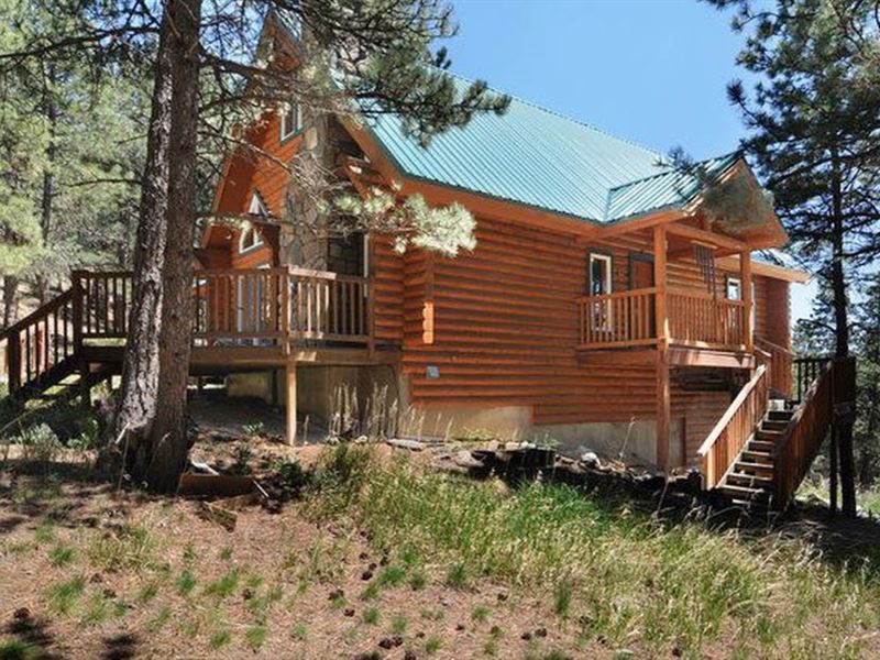 Log Cabin & 35 Acres, Land Auction in Colorado, #202632 : AUCTIONFLIP