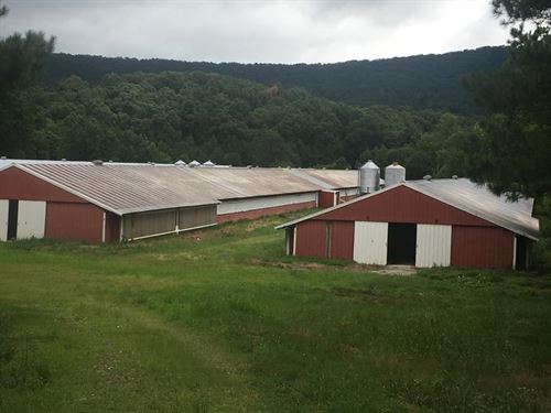 chicken farm for sale ga