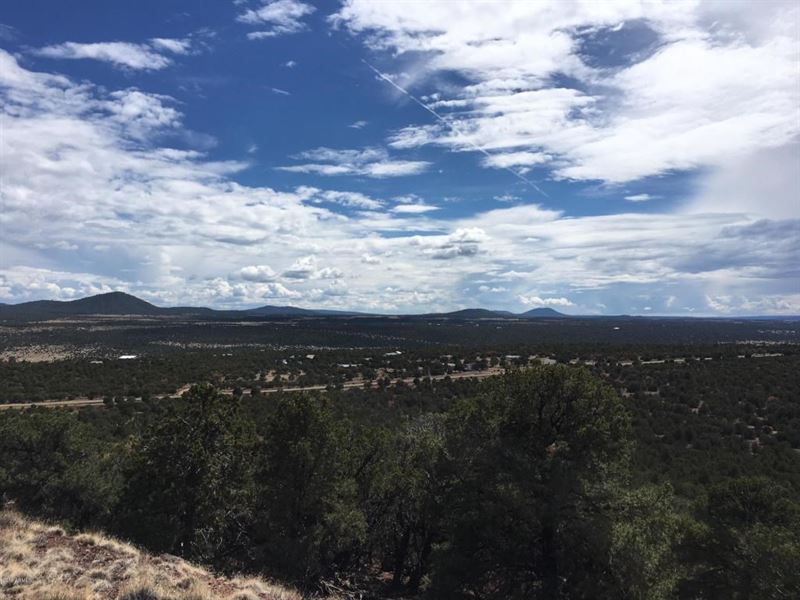 1.08 Acre Homesite Cedar Ridge, Lot : Vernon : Apache County : Arizona