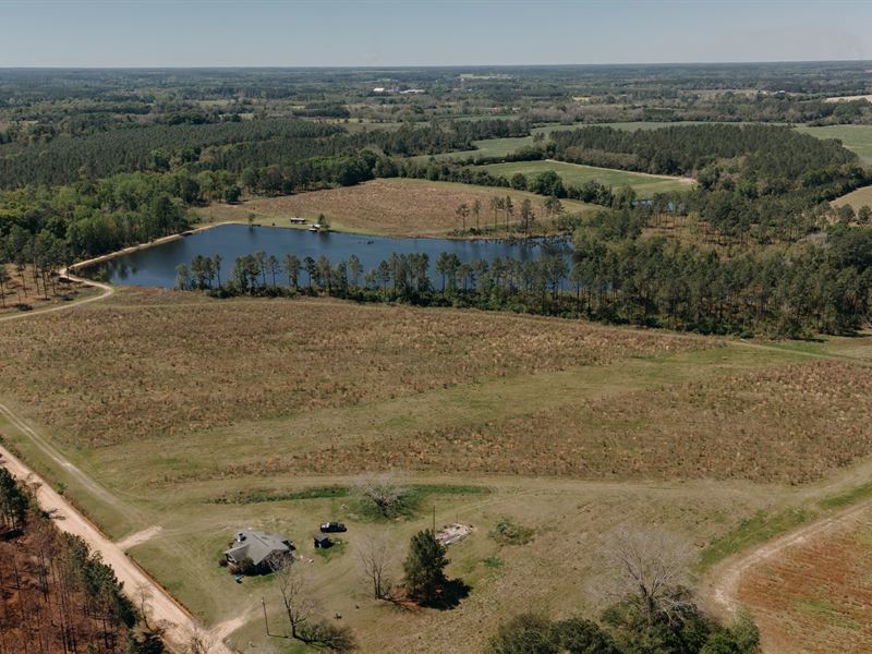 Fields Forest And Lake Land Auction In Georgia 374683 Auctionflip