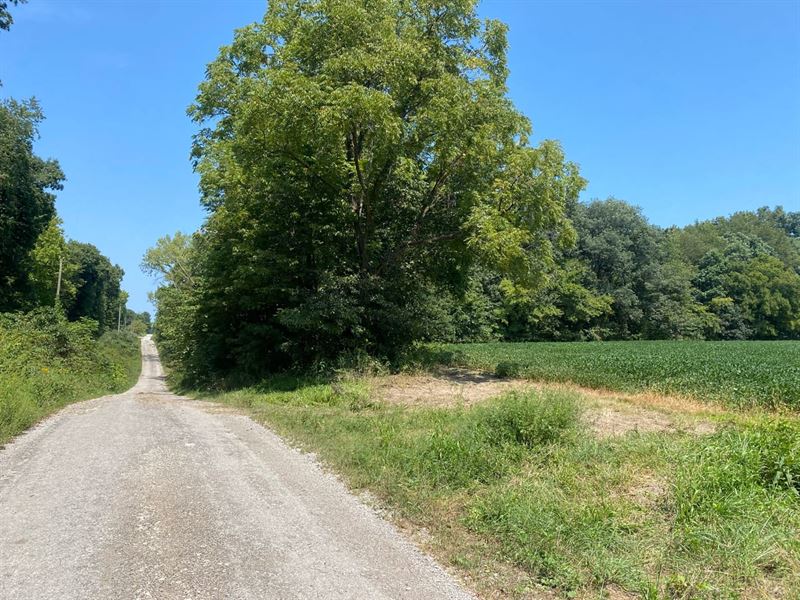 40 Acres in Cowden, Illinois : Cowden : Fayette County : Illinois