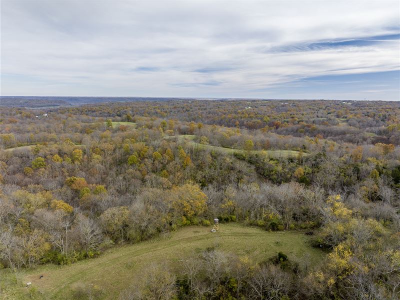 201+/- Acres of Spectacular Hunting : Turners Station : Carroll County : Kentucky