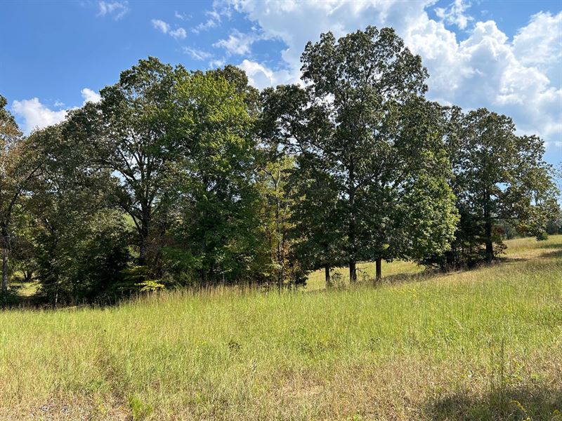 Auction, Adairsville 14.434+/- Ac : Adairsville : Bartow County : Georgia