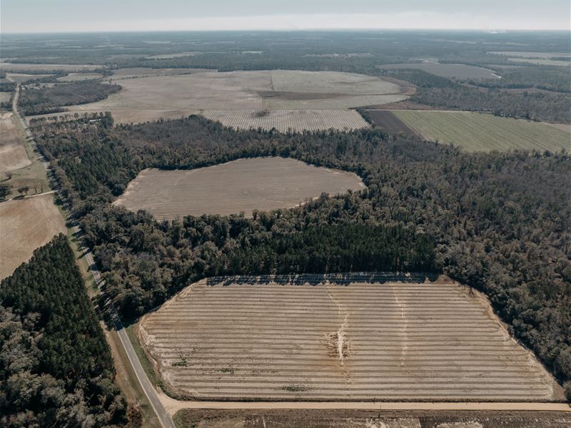 Prime Baker County Farmland : Leary : Baker County : Georgia