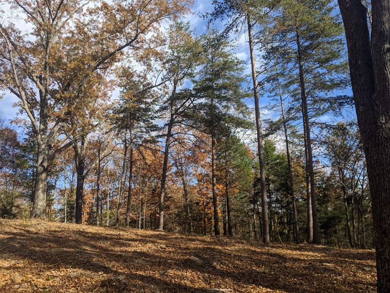 3 +/- Acres, Near Dhl State Park : Burkesville : Cumberland County : Kentucky