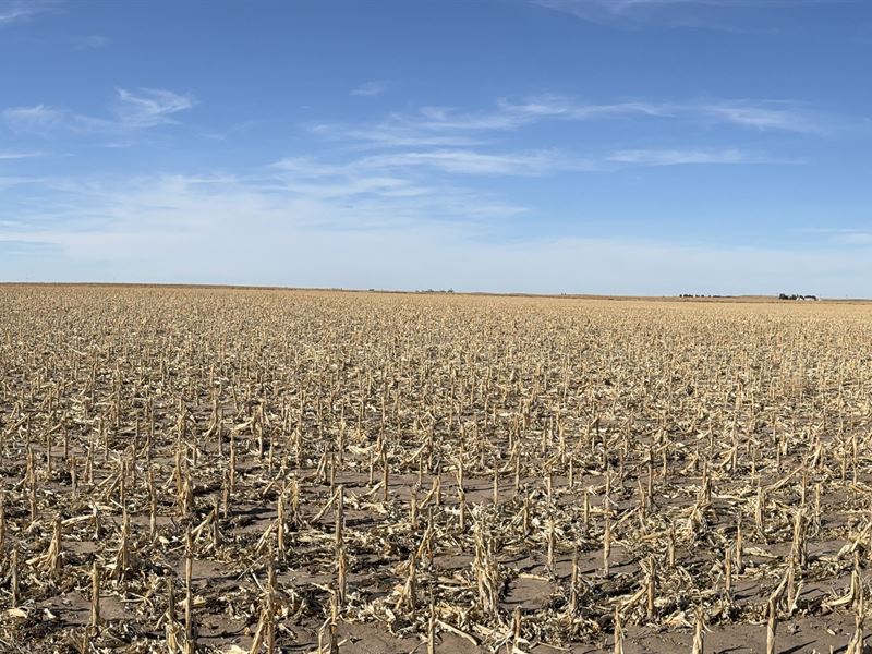 Logan-Phillips County Line Dryland : Haxtun : Phillips County : Colorado