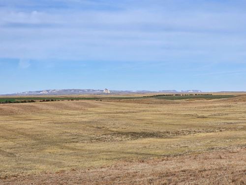 Keim Crp Auction : Bridgeport : Morrill County : Nebraska