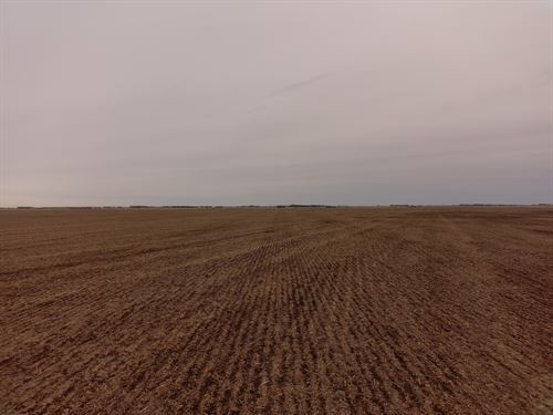 Online-Only Auction, 156 Acres : Redfield : Spink County : South Dakota