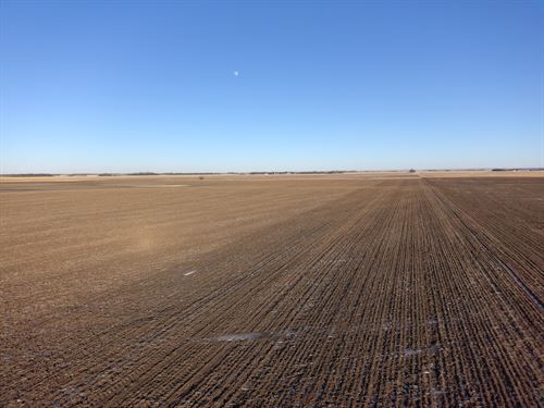 158 Acres, Brown County, South : Groton : Brown County : South Dakota